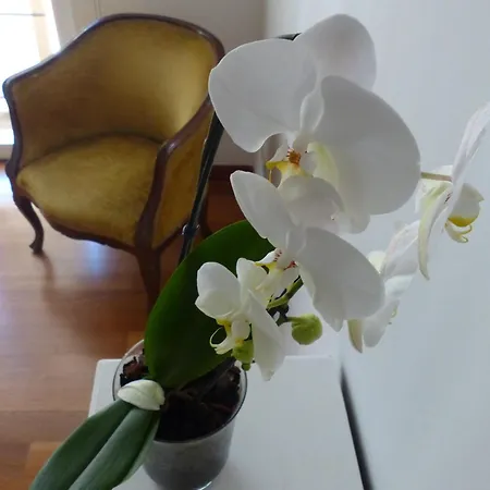 Casa Gledi Con Vista Su Fiesole דירה